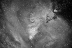 Rgion du sapin de nol et de la nbuleuse du cne (NGC2264)