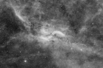 Rgion de la "X-nebulae" (DWB111-119) dans le Cygne