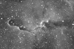 Nbuleuse IC1396 dans Cphe - dtail