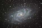 Galaxie M33 dans le Triangle