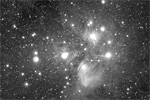 Amas des piades - M45 - et nbuleuse associe (luminance seule)