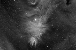 Nbuleuse du cne / Arbre de Nol - NGC2264 - en Halpha