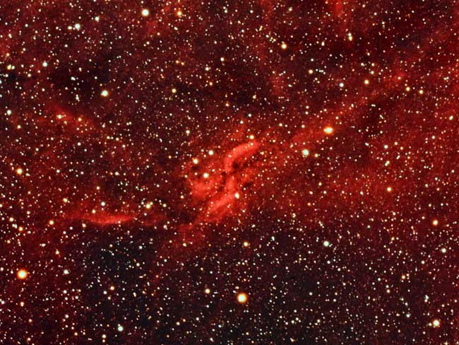 Rgion X dans le Cygne -  X-nebulae dwb111-118-119